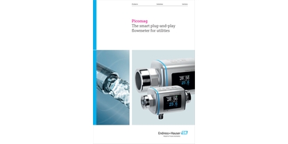 Picomag 전자 유량계 | Endress+Hauser Picomag 전자 유량계 | Endress+Hauser